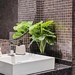 Appartement Tropical - Filodendro By Homie *